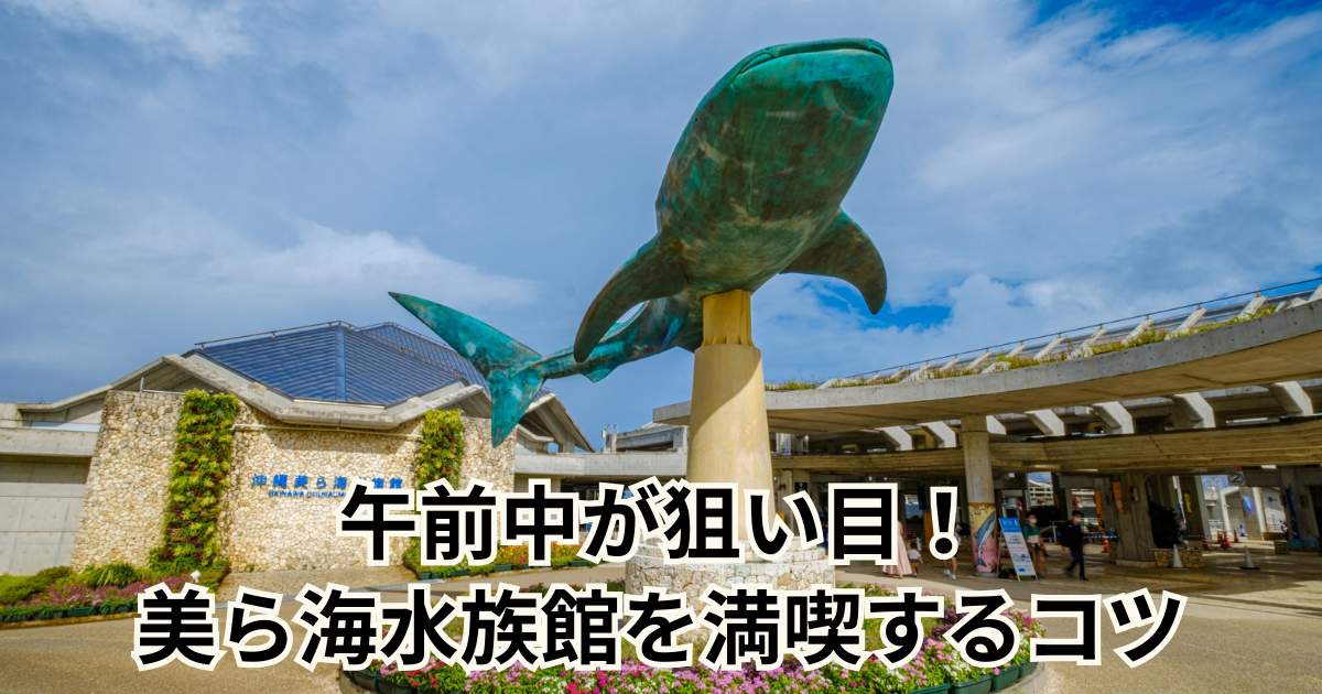 午前中が狙い目！美ら海水族館を満喫するコツ