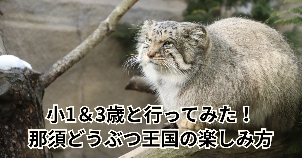 小1＆3歳と行ってみた！那須どうぶつ王国の楽しみ方