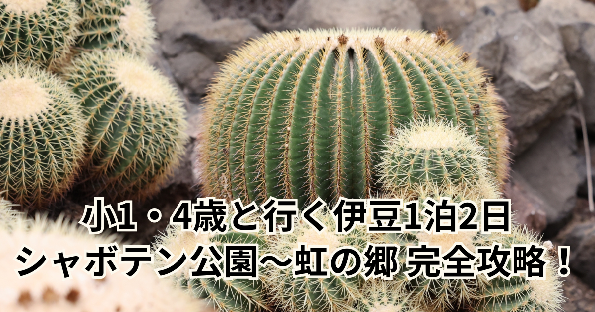 1・4歳と行く伊豆1泊2日　シャボテン公園〜虹の郷 完全攻略！