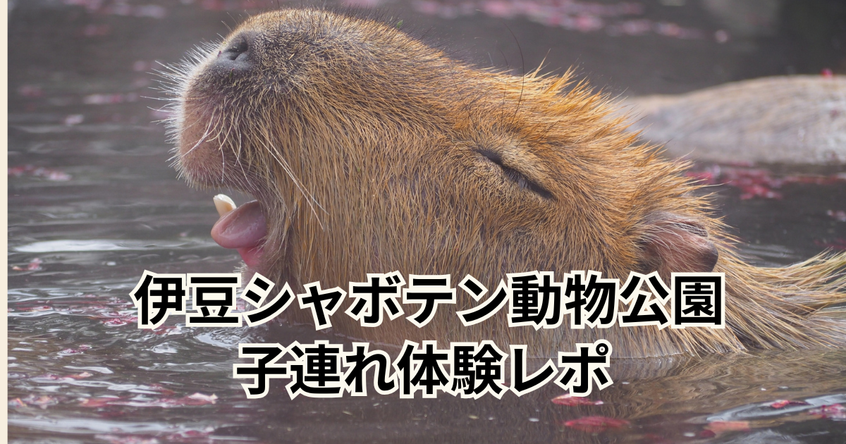伊豆シャボテン動物公園 子連れ体験レポ